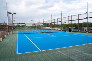 Indoor and Outdoor Tennis Courts in Lincoln Park